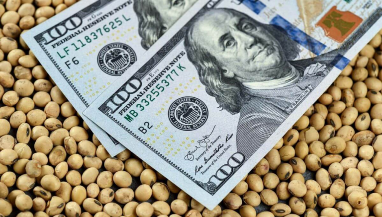 El Estado espera recaudar U$S 4.600 millones en retenciones agropecuarias en 2026