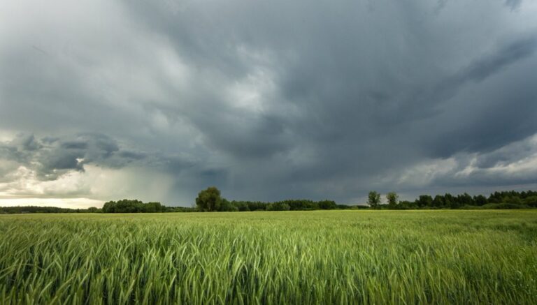¿Qué esperar del clima hoy? Lluvias moderadas impactan la agricultura