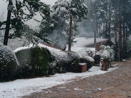Nevadas en Córdoba: El frío invernal sorprende a los habitantes a días de la primavera
