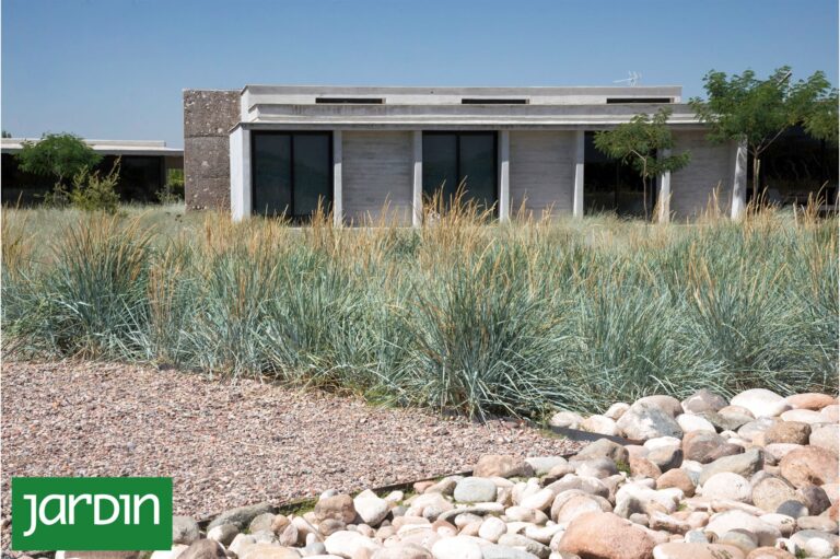 Jardines Secos: La Innovadora Tendencia en Paisajismo que Ahorra Agua
