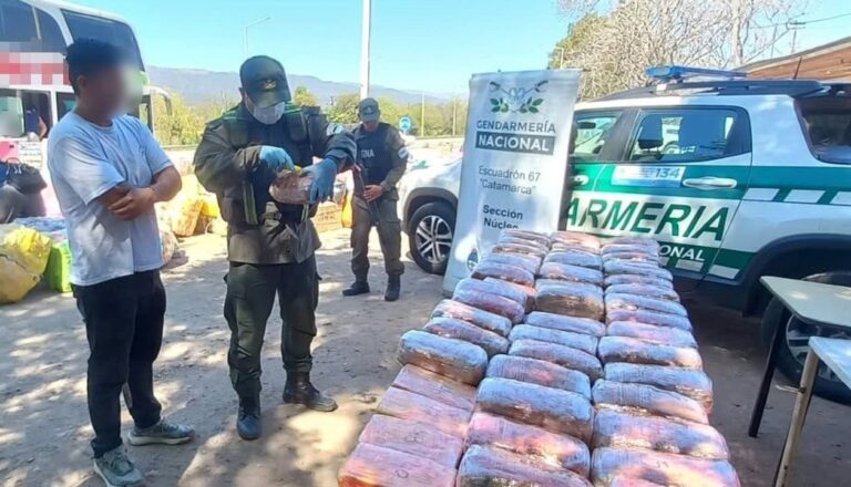Detenida por transportar drogas ocultas en peluches de capibaras