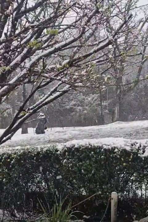Nevadas Sorprenden a Córdoba: Altas Cumbres y Otras Localidades Cubiertas de Blanco