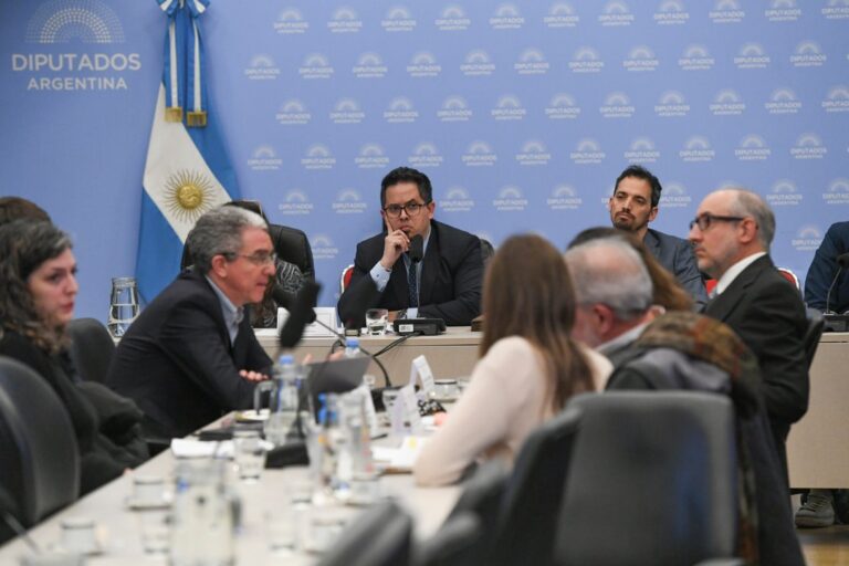 Diputados Debaten la Morosidad Familiar: Representantes del Sector Fintech Exponen sus Argumentos
