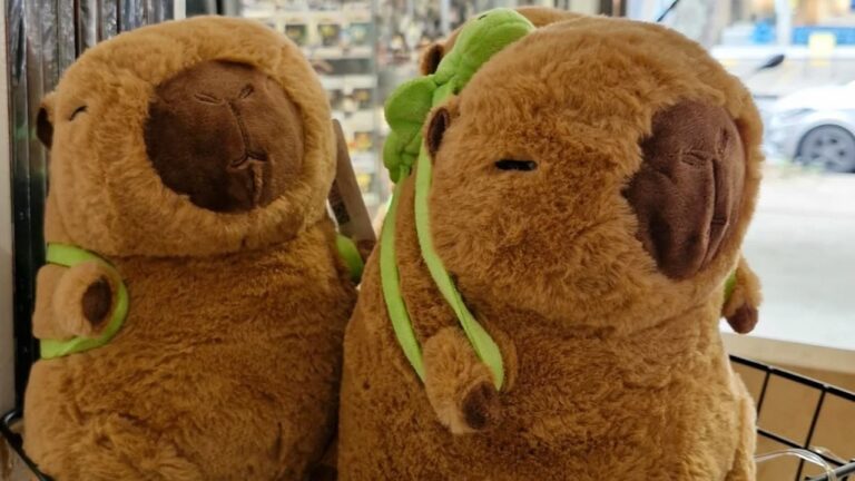 Detenida mujer que ocultaba 4 kilos de cocaína en peluches de carpincho