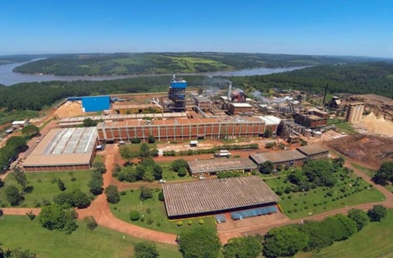 La Corte Suprema Anula Ley Provincial que Declaraba Insalubre la Industria Papelera