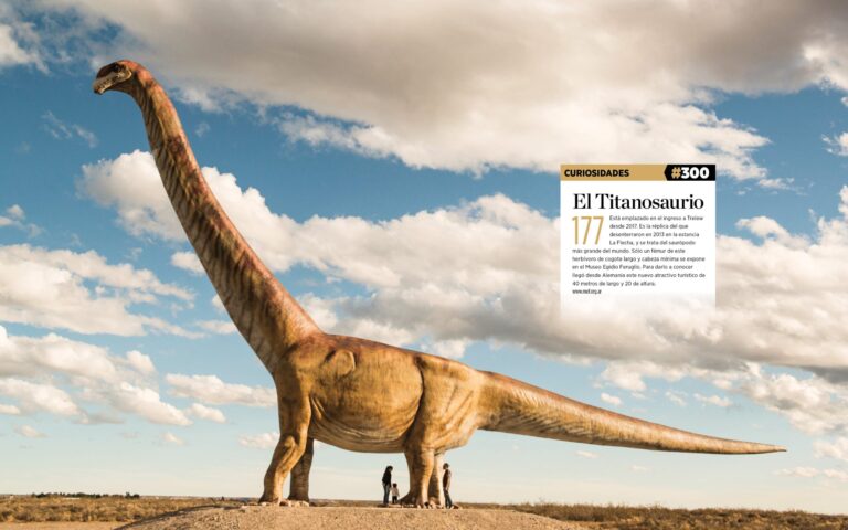 Descubren en Argentina los huevos del dinosaurio más grande del mundo