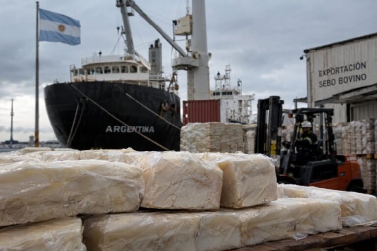 El Secreto del Sebo Bovina: Argentina Aumenta sus Exportaciones y Escala en el Mercado Internacional