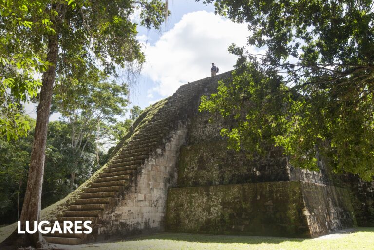 Descubre Tikal: El Gigante Maya Oculto en la Selva