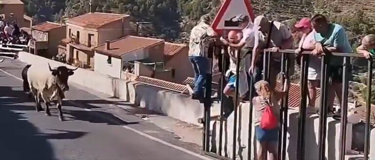 Tragedia en España: Mujer muere corneada por un toro durante festividades