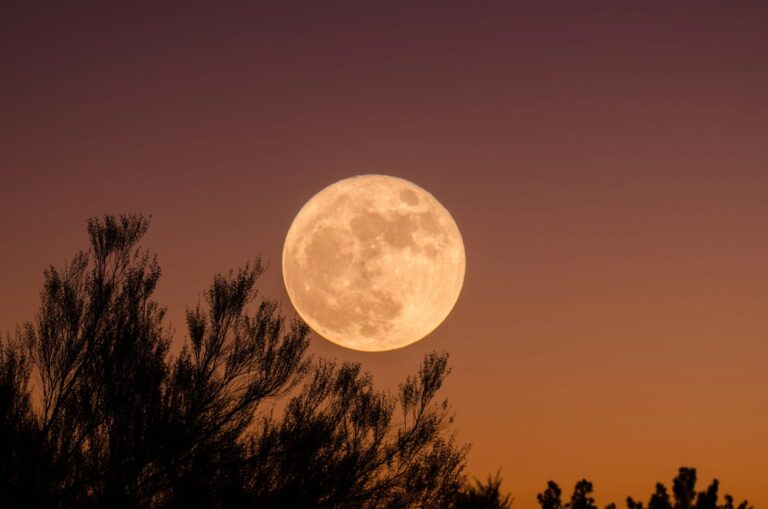 Descubre Cuándo Será la Luna Llena de Septiembre 2026