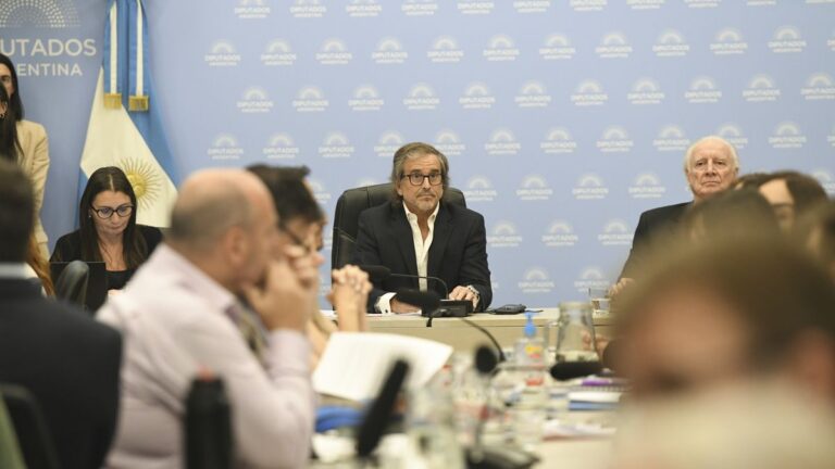 Tensión en Diputados: Temas de Morosidad y Discapacidad en el Centro del Debate